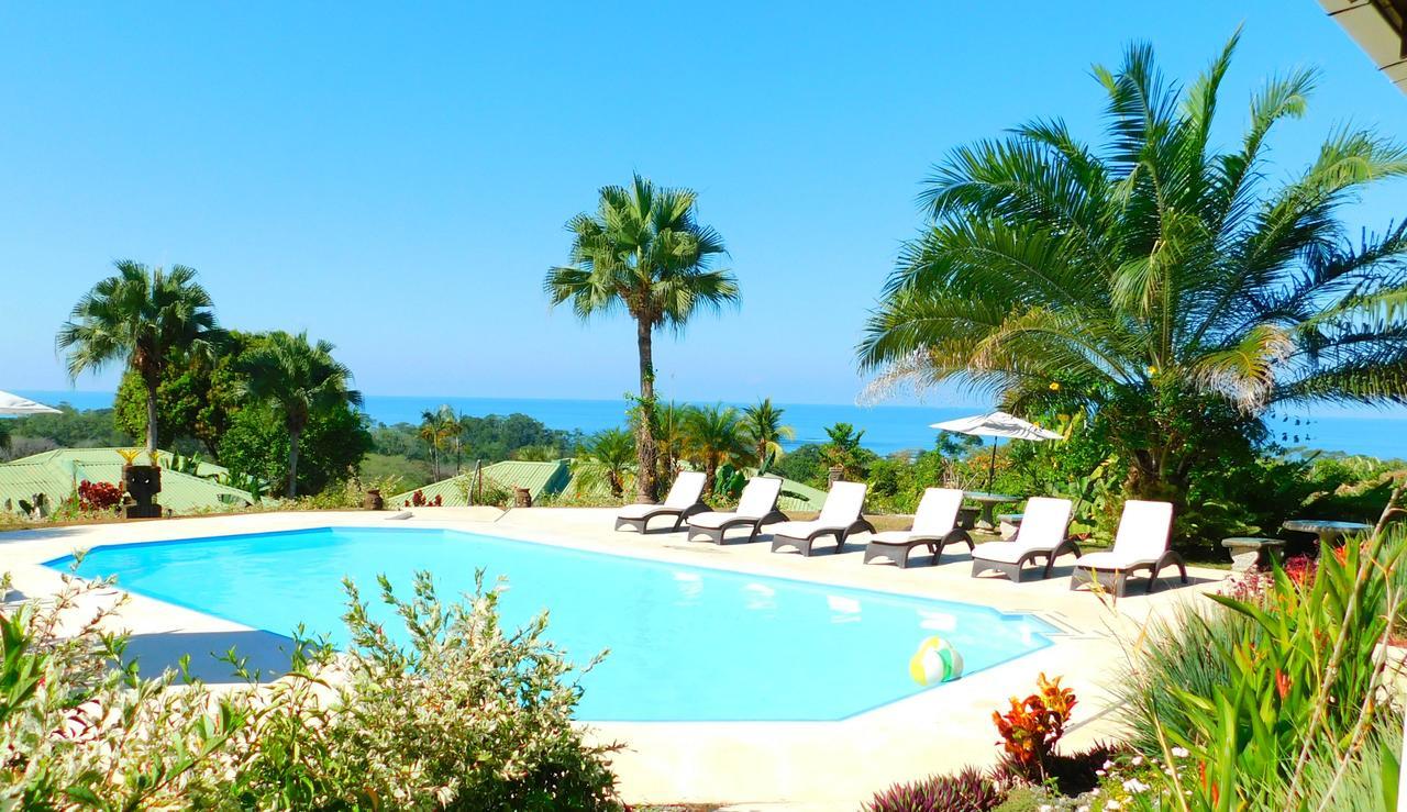 Hotel Lookout Playa Tortuga أوخوتشال المظهر الخارجي الصورة